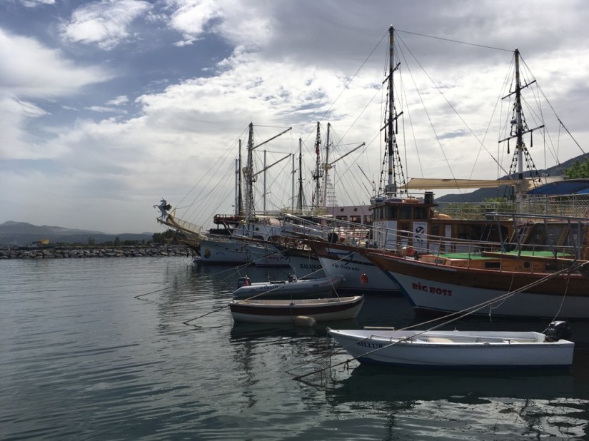 0275E843-0E76-4326-8D80-293C9229D351