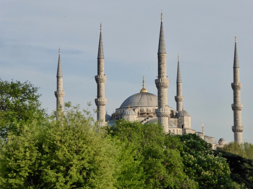 02D6CF52-8DE7-43A0-B09B-9B1F7E782C8C