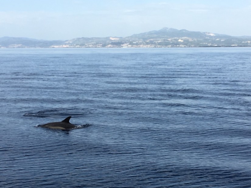 0D29DE0E-AD2D-4D1E-AAA1-BFDDBCFFB0F4