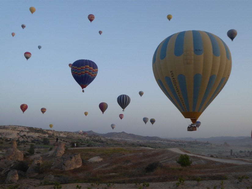 1304EA54-5619-43AC-8BAD-1D6CA661F504