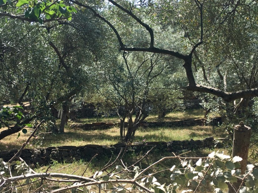 1394F9B1-33EE-4382-8570-8D552ED98BA4