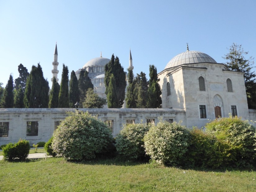 1B06D0D4-2D16-4FE4-96A6-E847BE199B69