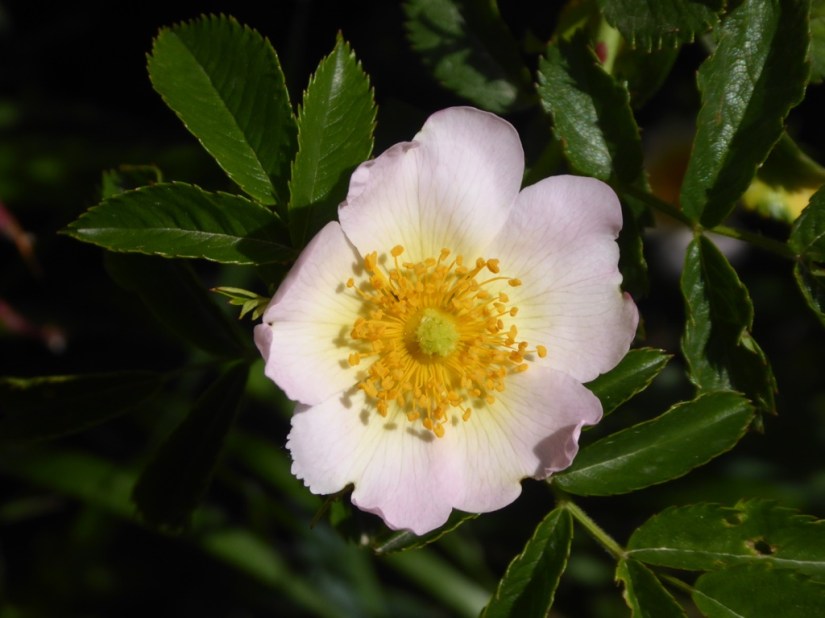 2ED69345-BB76-4787-9C0F-0F250FCEA0BB