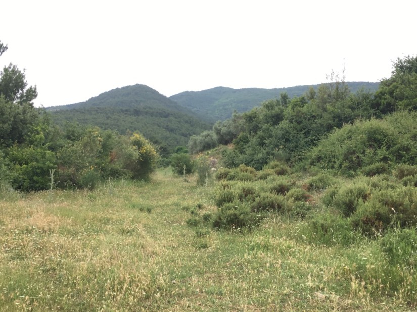 2F42D6AF-F53B-4548-990F-DCAF5516695B