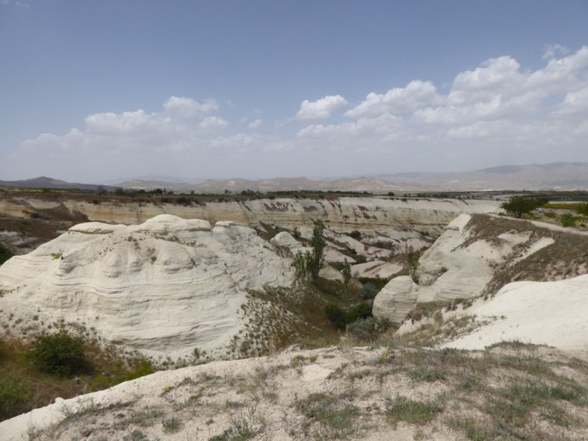 3056512B-B824-4558-8BDD-77F6E5A80C61