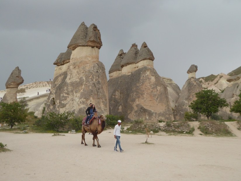 30817A36-9382-42ED-B298-E2473A373955