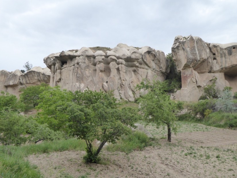 32149369-9193-43DD-96CD-4606F86B6132