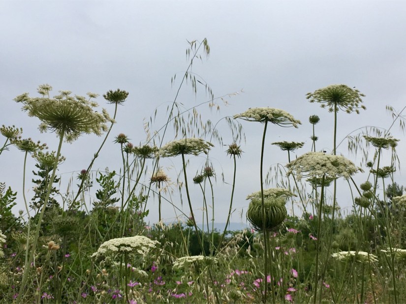 3A8B1950-B486-41F4-A023-3F29E5755C85