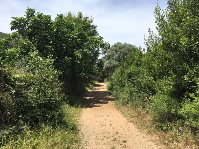 42B34692-E479-49A9-A7AD-19CBDAB11C21