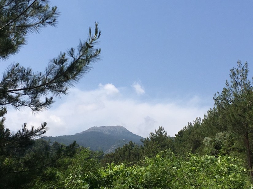 457C9292-F57D-45A1-80D8-A6D34C4B3F6C