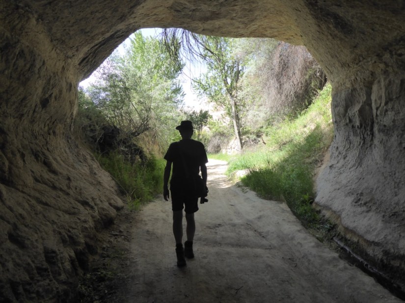 60F486D6-3557-4721-8953-528DD8541926