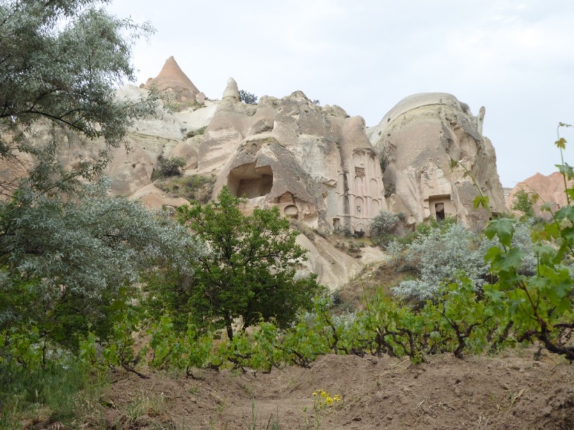 7D4D1979-9F76-46D8-AB46-B714C6CC57F1