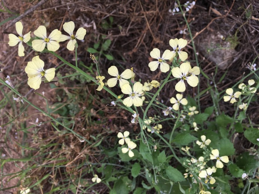 7FD569F6-5078-424E-A2E5-6D0BE124E107