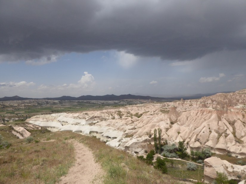 88C7341D-DBA9-47B3-803E-C415ED270DC7