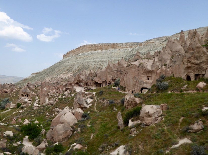 8F11377F-258C-4C2A-8F9D-79342C69B37C