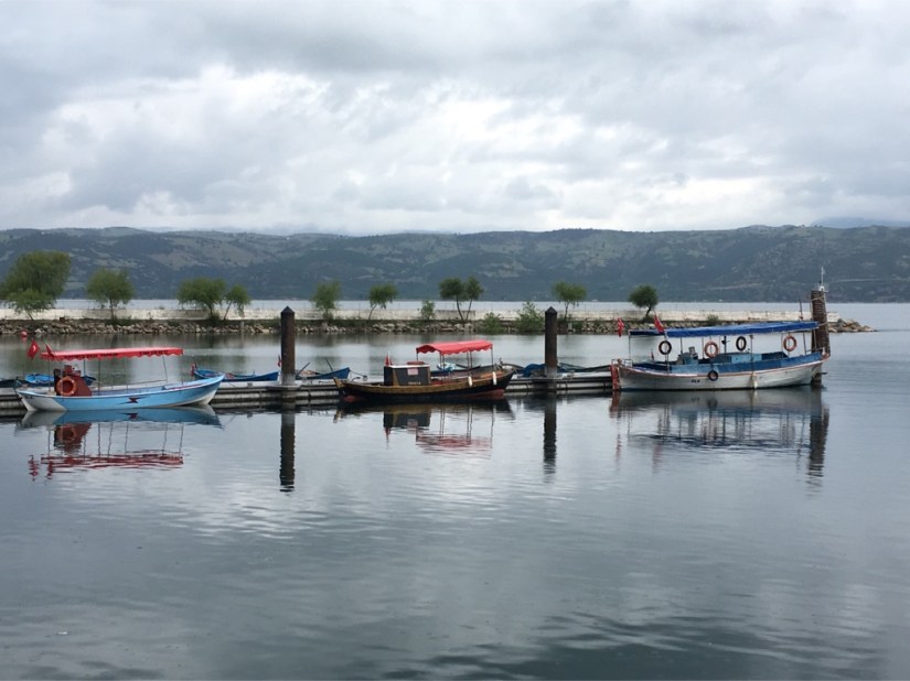 974D4A4C-8E10-4925-90F6-D0DF674452B5