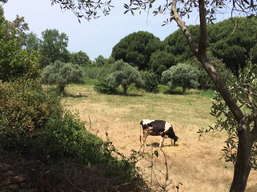 97A0BC4B-1B50-46B1-80EA-432639801030