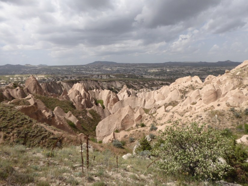 B35B46E7-2FA1-488C-BDF0-C3FA30BC665D