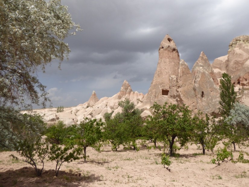 B5F69399-62E2-40D8-8896-C2D5E8593849