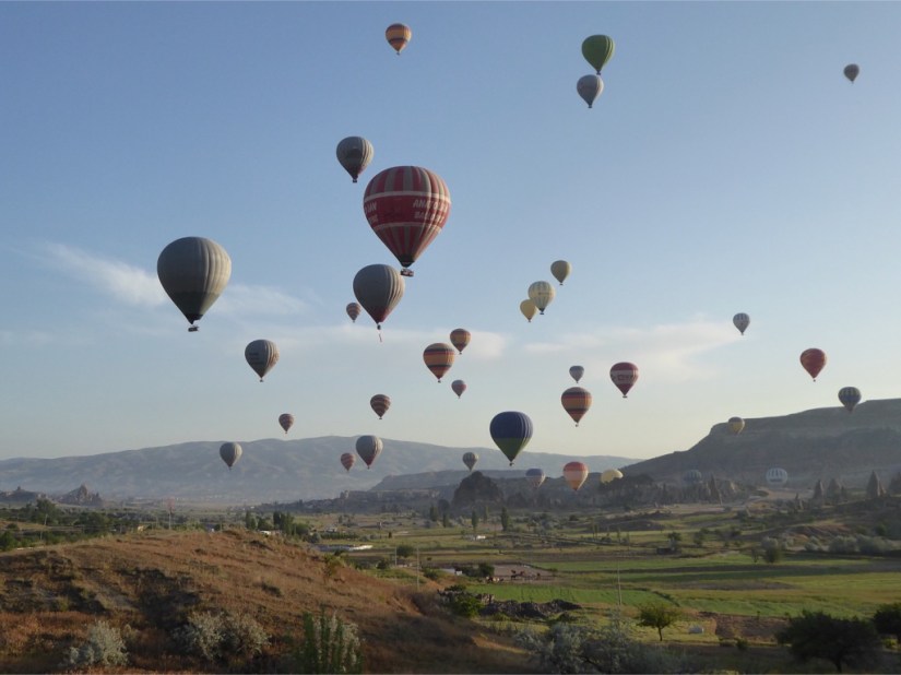 BA20FB01-81A7-4189-86F3-DA19BD82516C