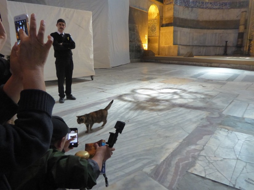 C05F868A-A738-4041-B6AB-D817BA283AC1