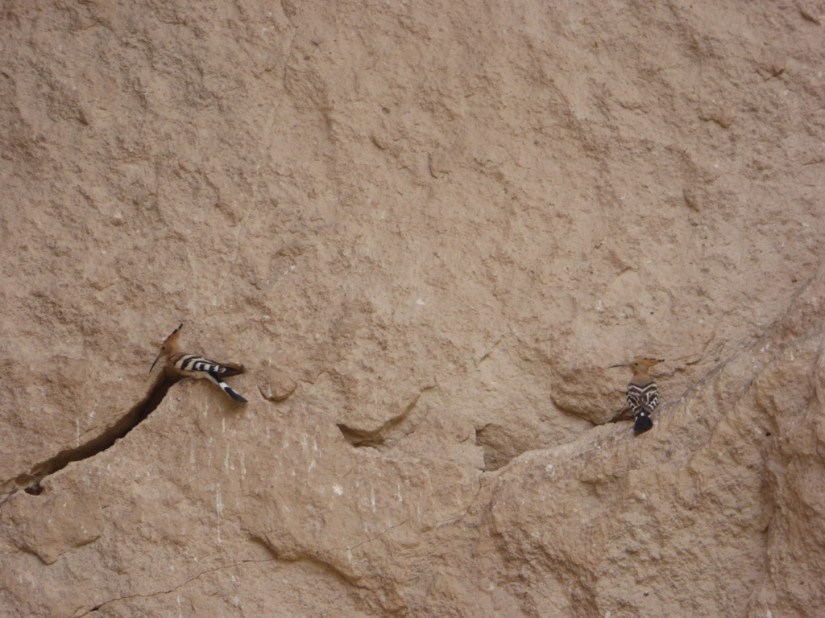 C5295B70-CDF4-40D1-A130-83EC26A73980