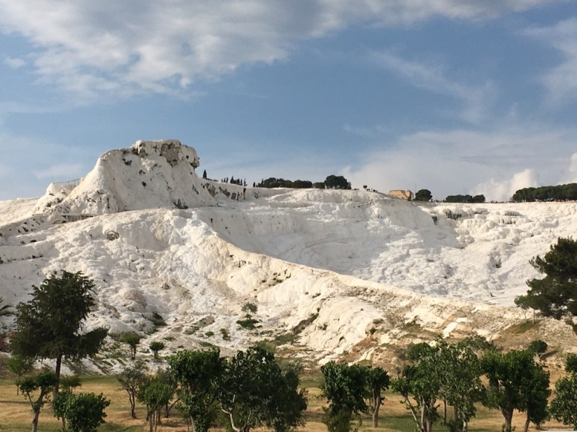 CBE103DB-5D2D-464B-9371-F833D8505DCD