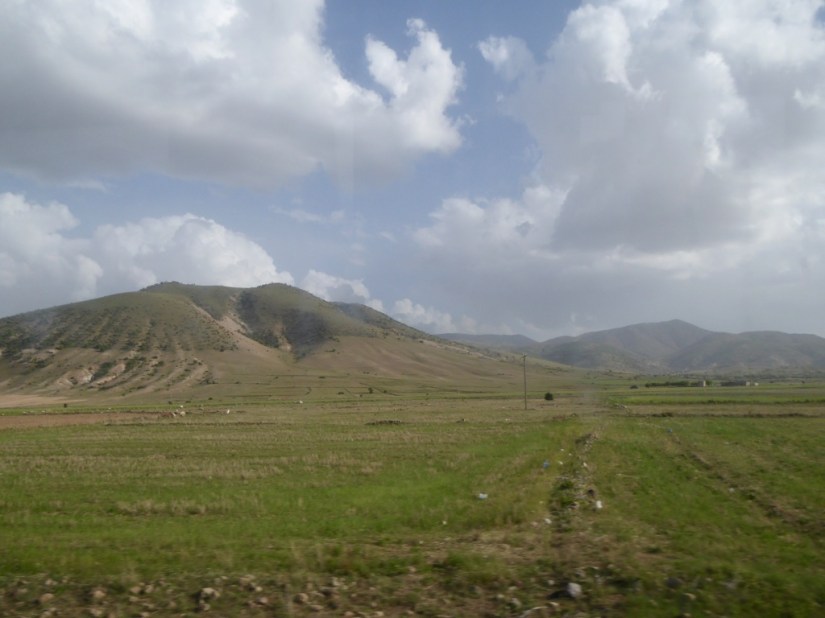 CDA77163-8250-460F-AE92-AB10188A6953