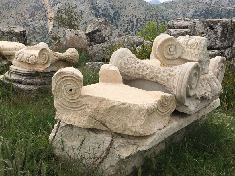 D016F100-DAB7-4F15-AE70-55F3F31A9A7B