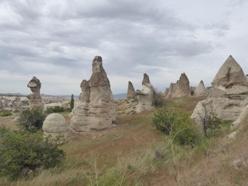 D14E0F95-38CC-4F36-83F3-F5BEFACED700