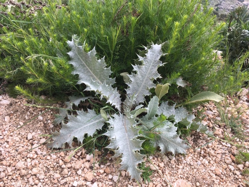 D96CC65C-BCBA-46E5-80A7-20611657C6D7