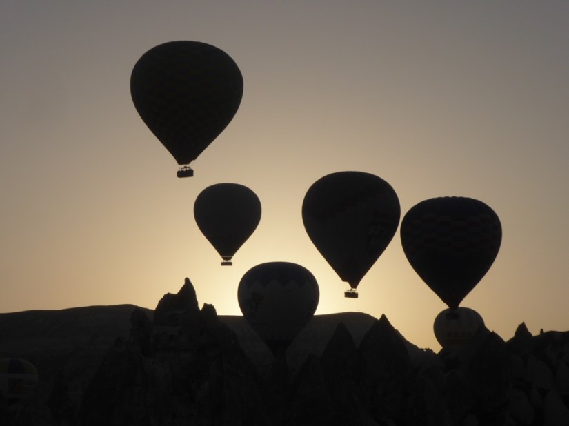 D97E9D11-EF41-4518-8822-19E81DE7876B