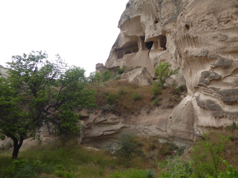 D98BEEE2-99A3-4F5C-906C-E13B52A52CD6