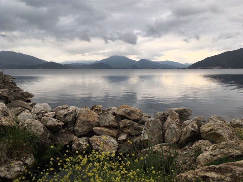 E8B99DEA-36F8-401F-AE5C-9EF3F9ABD5CB