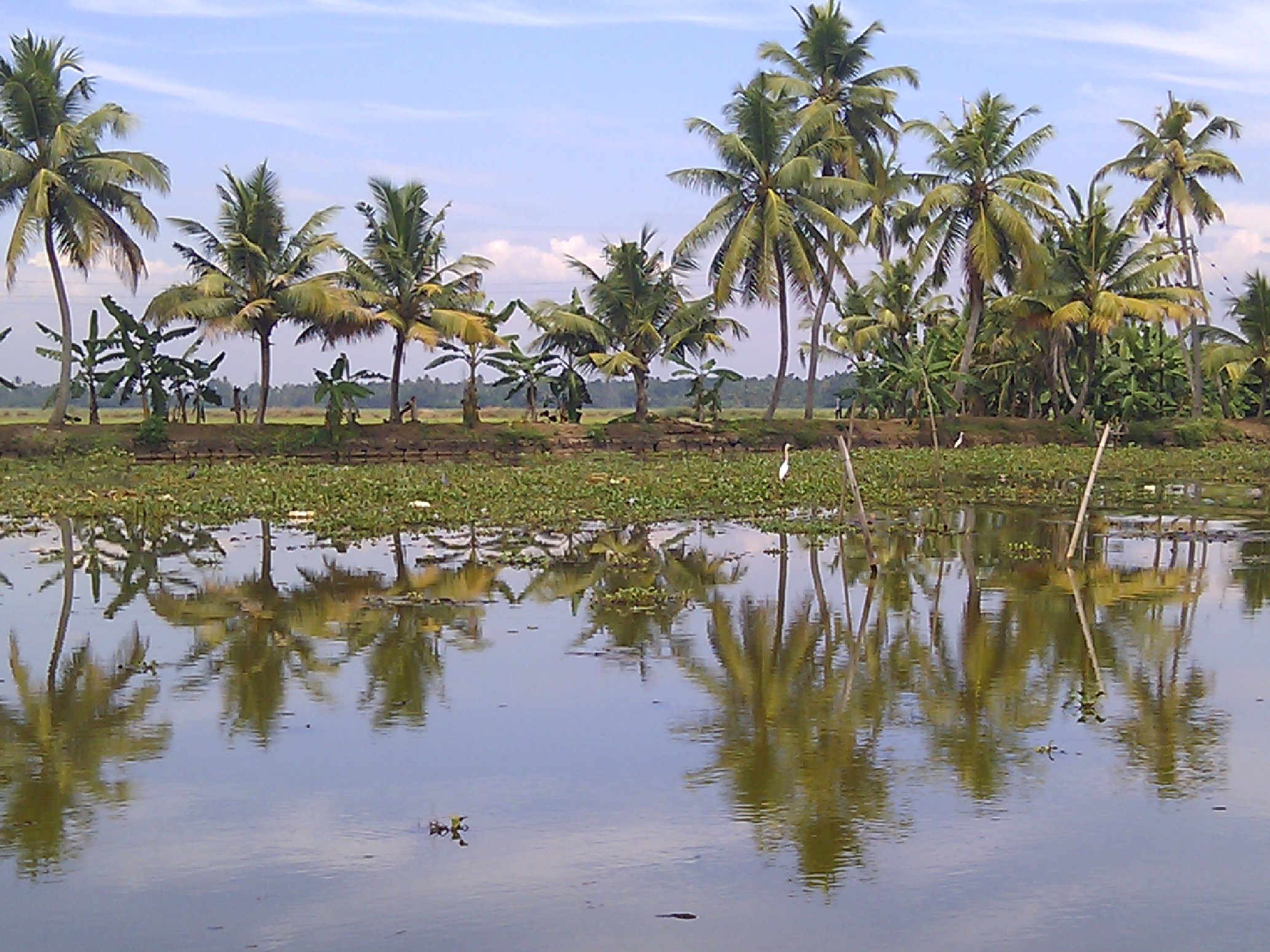 53132606-F3C6-4296-8C5C-1DD814CBEBF4