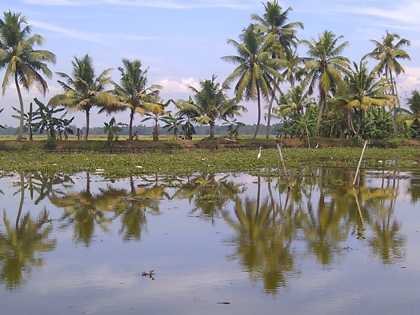 53132606-F3C6-4296-8C5C-1DD814CBEBF4