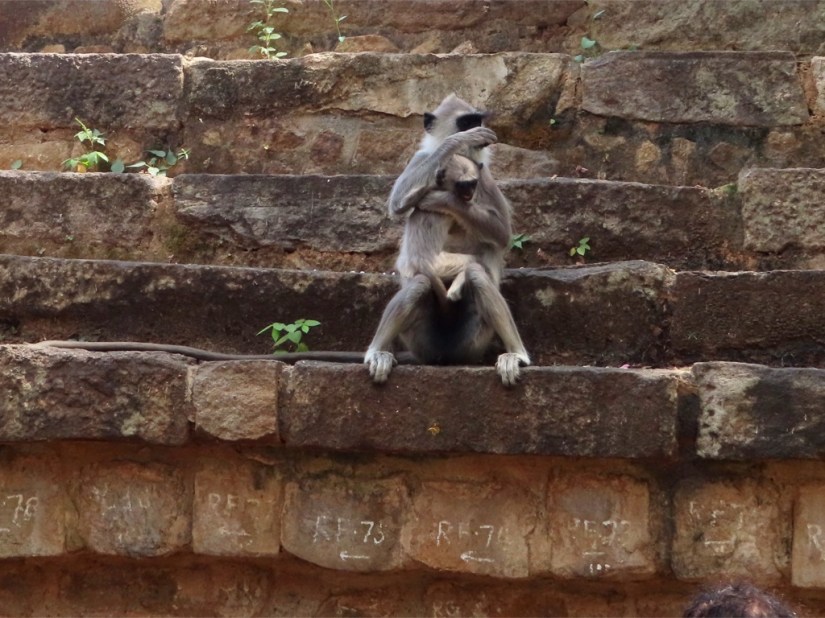 54aaf709-999c-4c18-b62f-be21e708246d