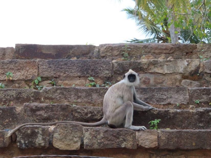 85fd2262-de1c-4bed-acc8-a0bc89654369