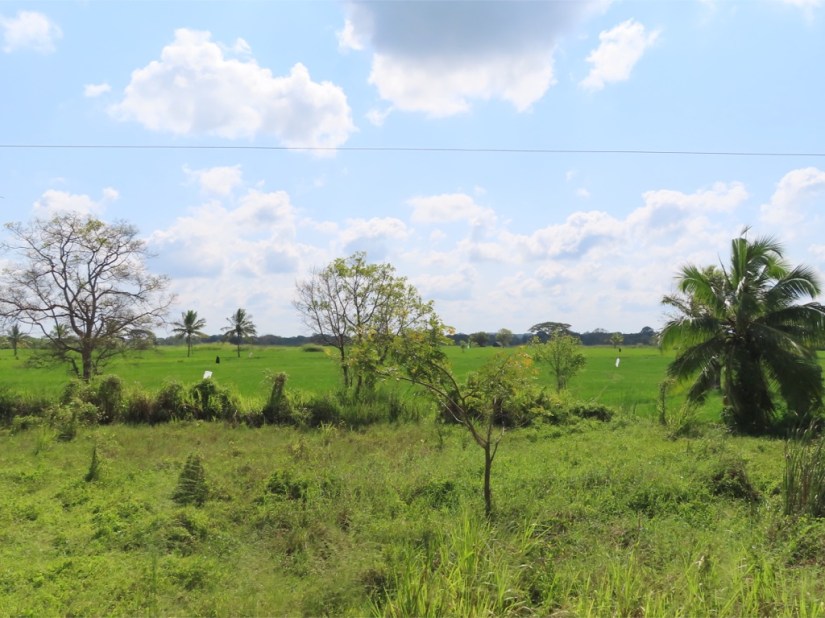 da0379df-6ebd-4cc9-830a-9b64ce30dac3