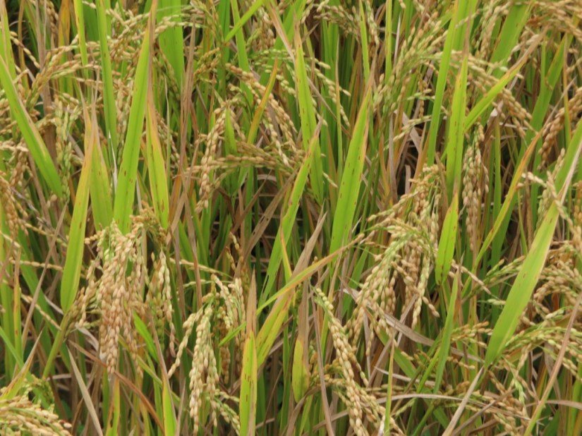 35B20833-2AB9-44E0-8612-758656C7BFA2