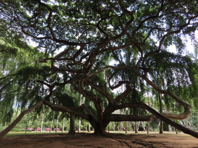 9490B769-A710-4931-8293-7A0EEEEBE026