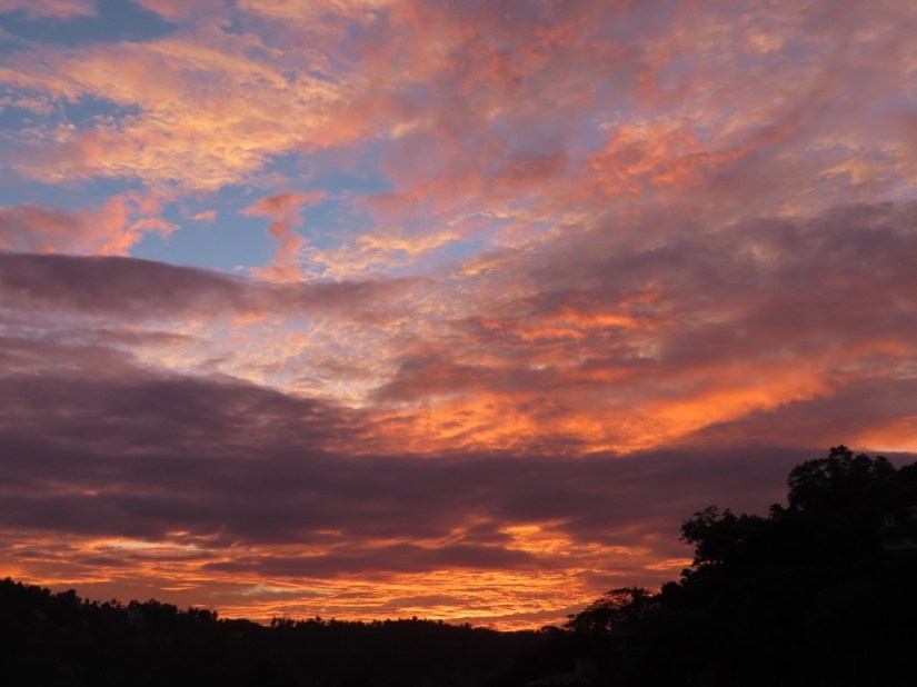 B58743C2-AE20-4A5B-96F2-7C6A552DA628